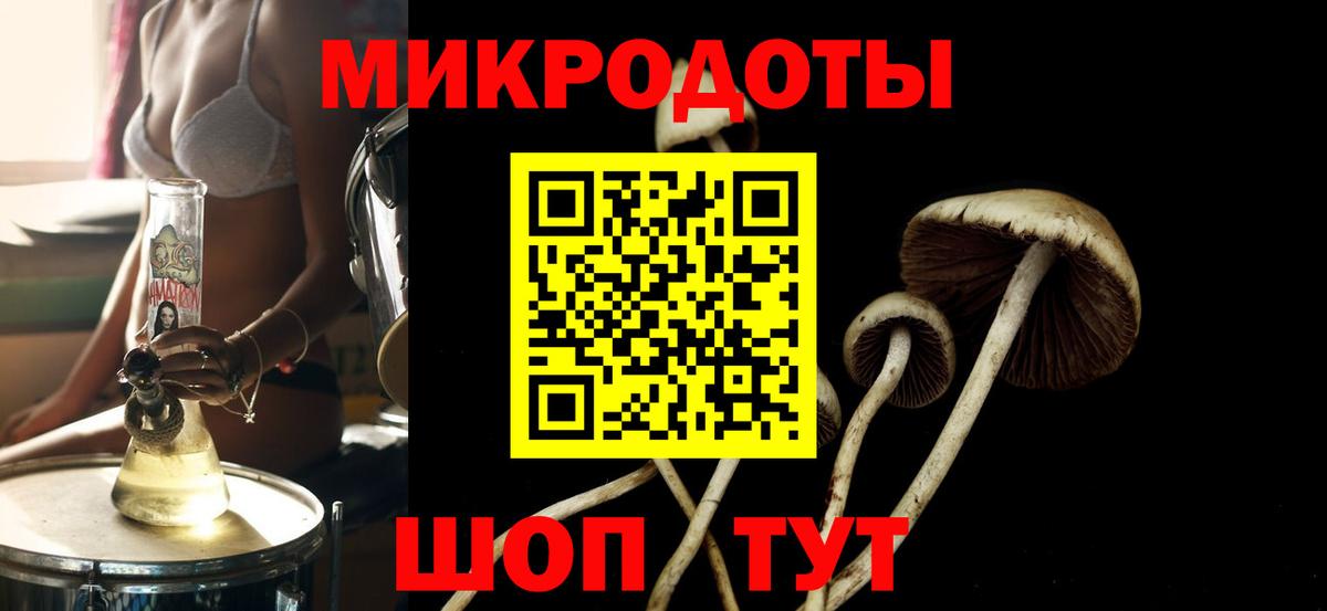 Псилоцибиновые грибы Magic Shrooms Кореновск
